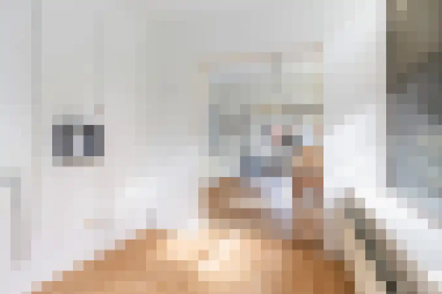 Bartelsweg 79 Apeldoorn thumbnail 13
