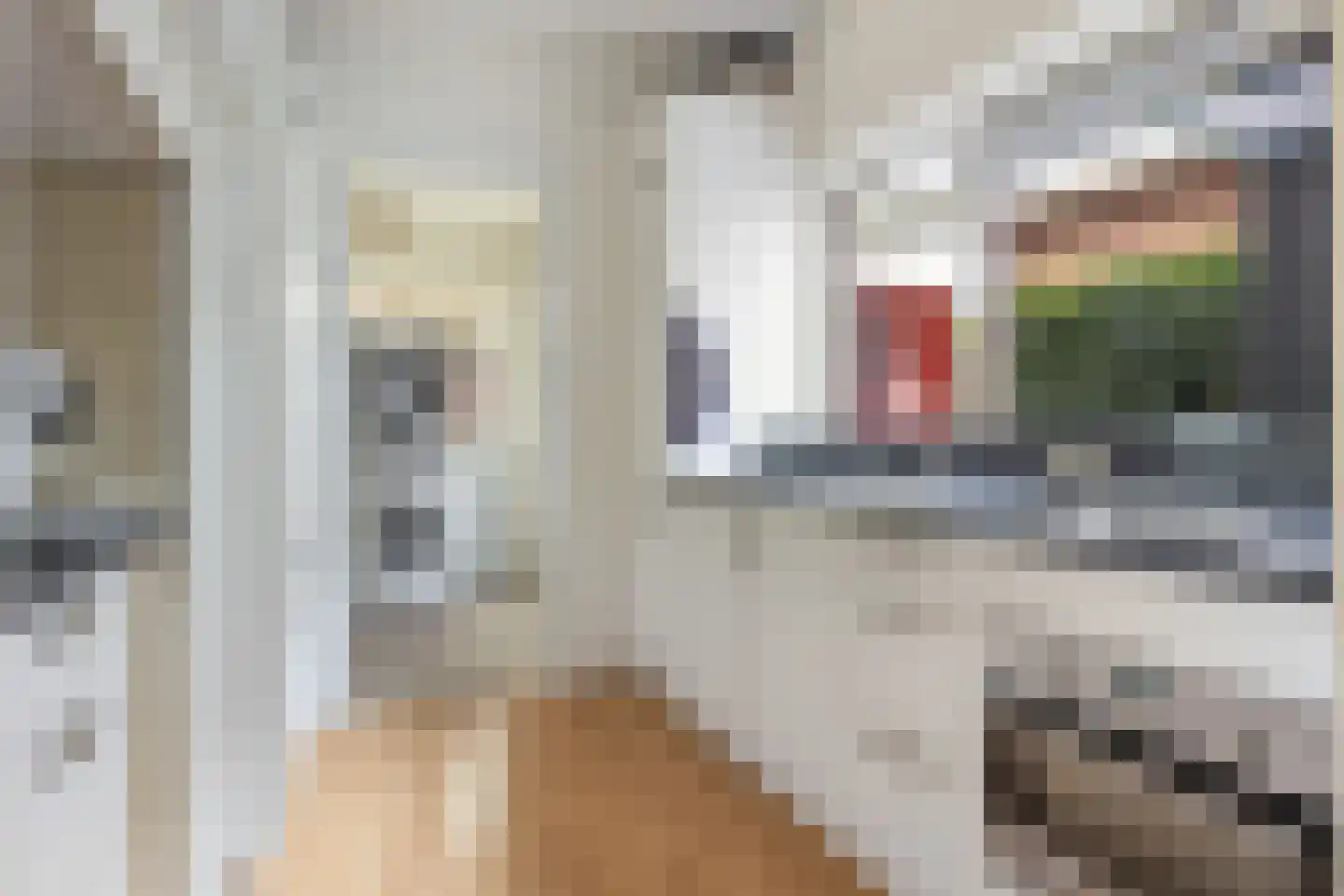 Bartelsweg 79 Apeldoorn thumbnail 15