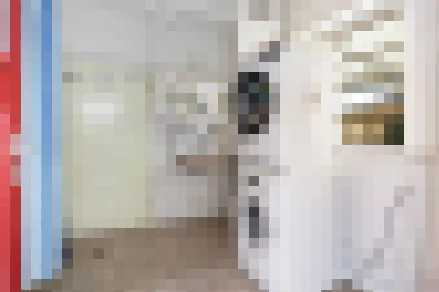 Bartelsweg 79 Apeldoorn thumbnail 16