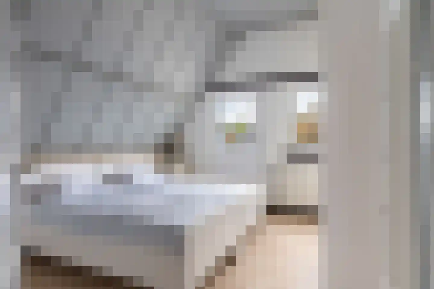 Bartelsweg 79 Apeldoorn thumbnail 22