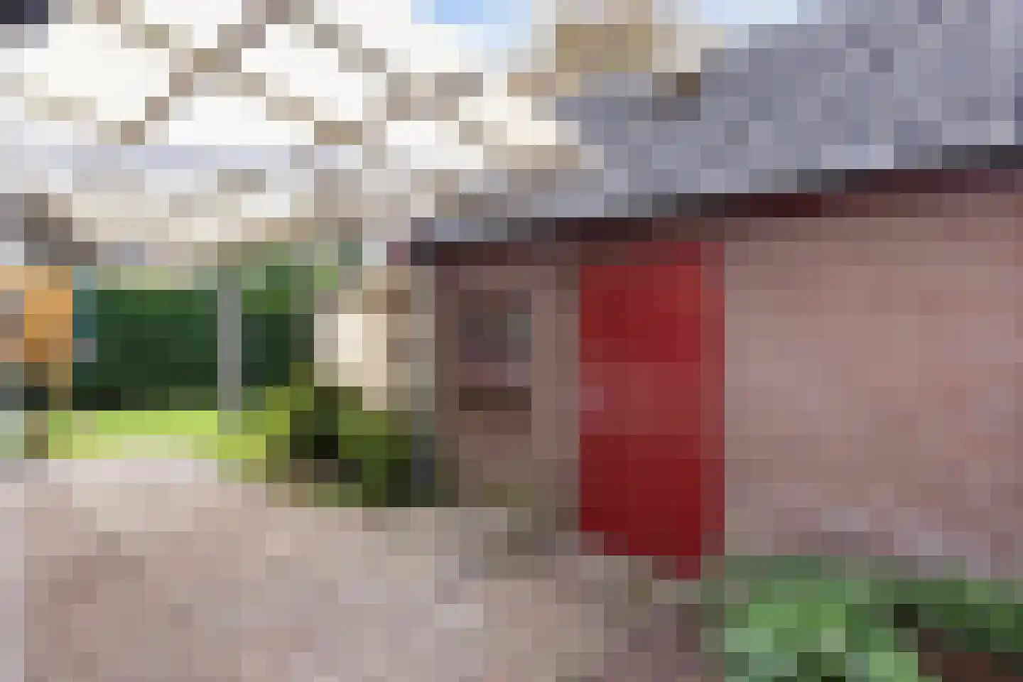 Bartelsweg 79 Apeldoorn thumbnail 33
