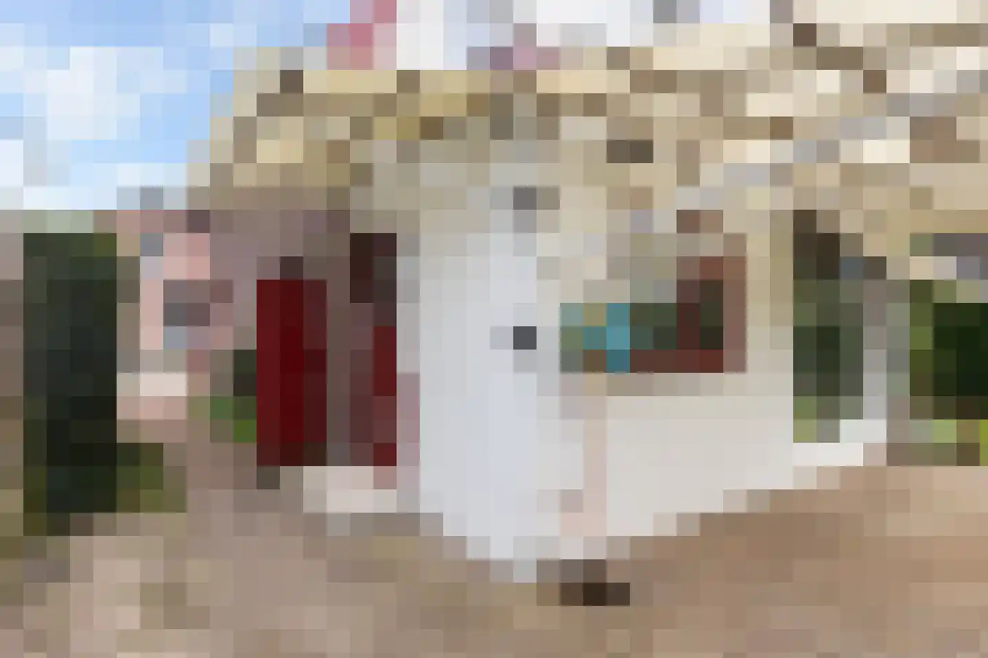 Bartelsweg 79 Apeldoorn thumbnail 34