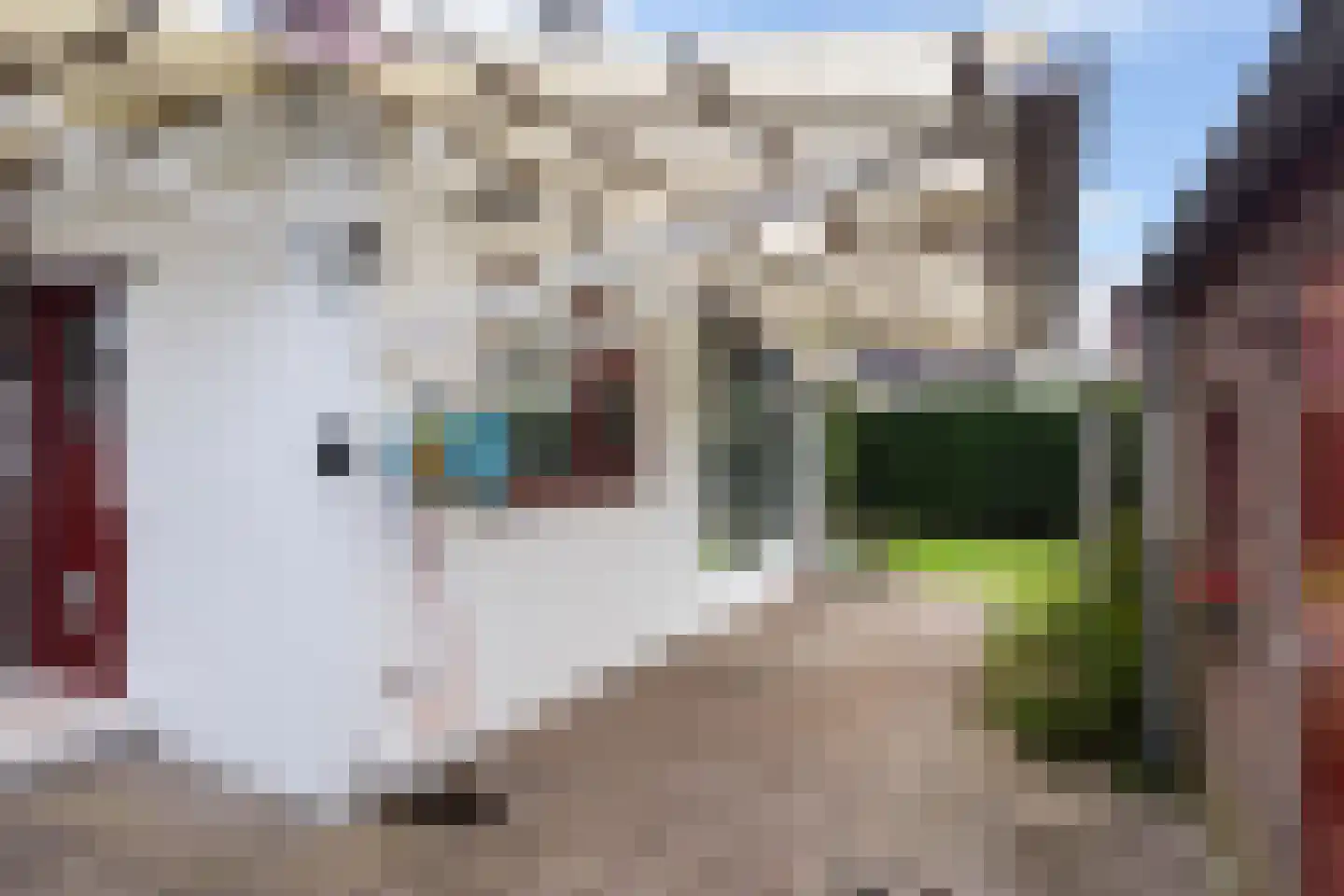 Bartelsweg 79 Apeldoorn thumbnail 35