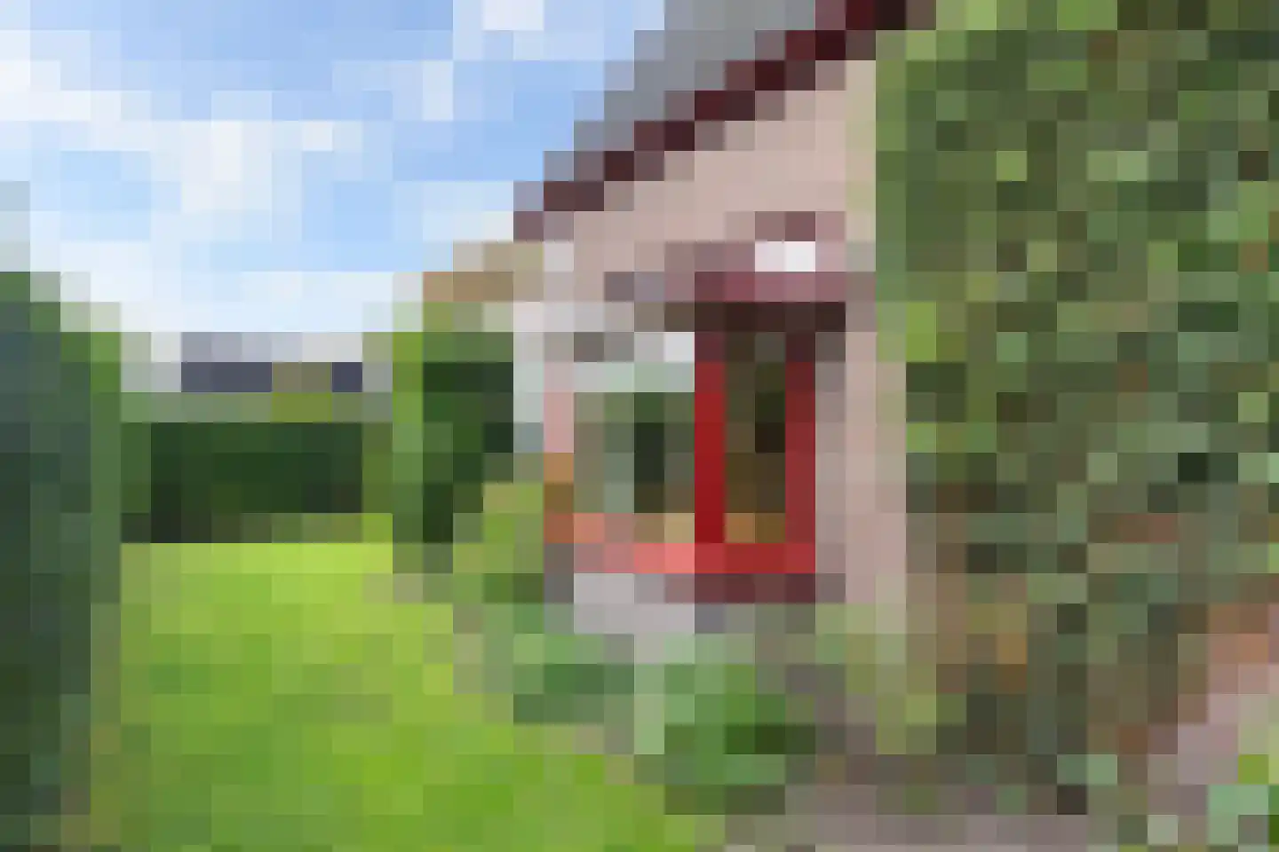 Bartelsweg 79 Apeldoorn thumbnail 37