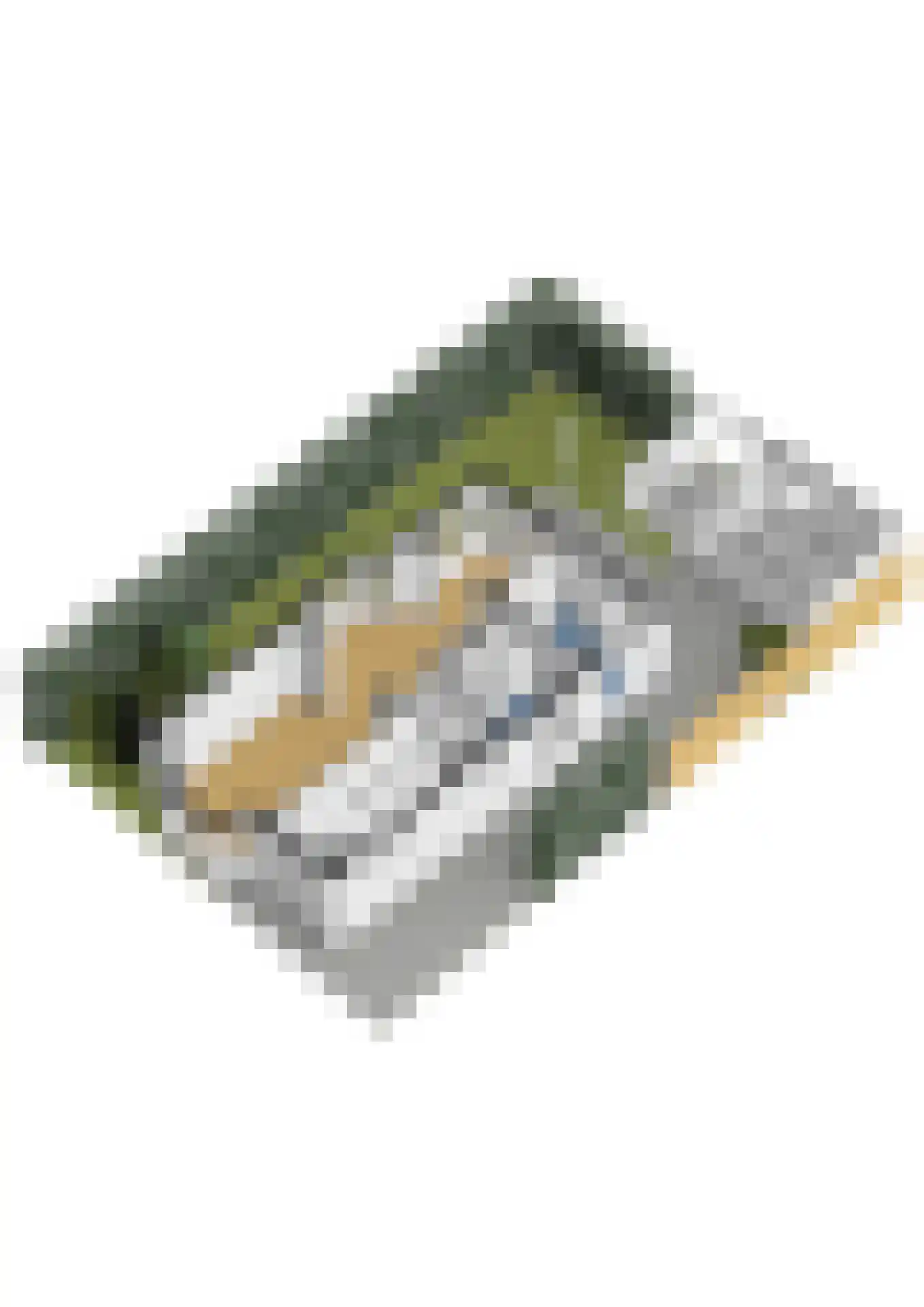 Bartelsweg 79 Apeldoorn thumbnail 49