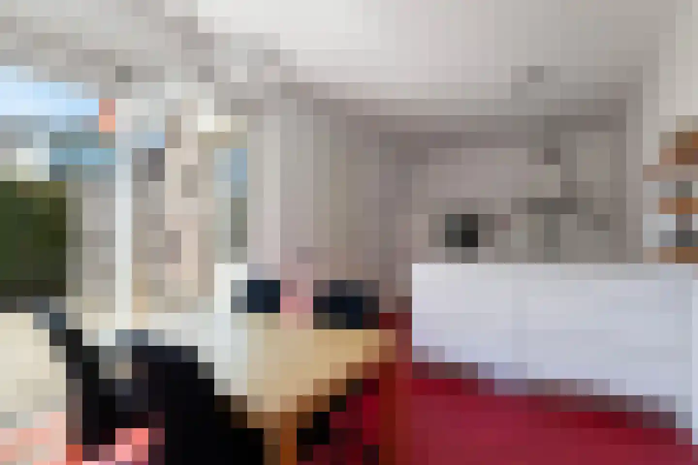Bartelsweg 81 Apeldoorn thumbnail 11