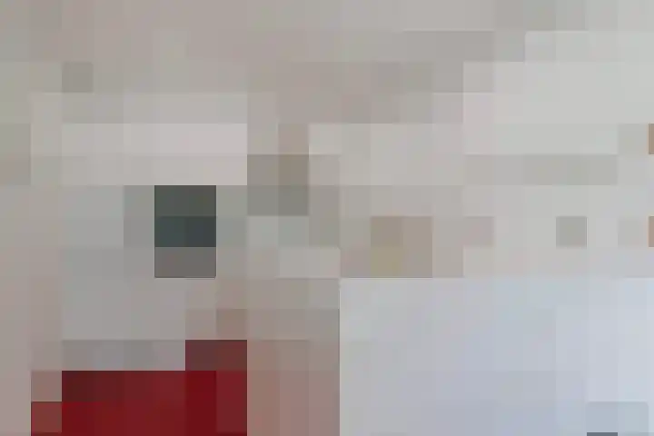 Bartelsweg 81 Apeldoorn thumbnail 11