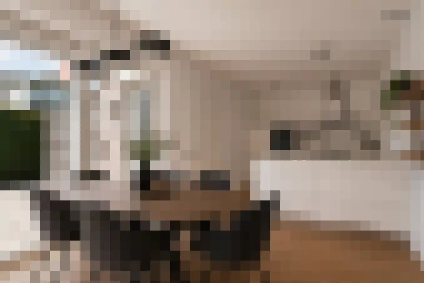 Bartelsweg 81 Apeldoorn thumbnail 12