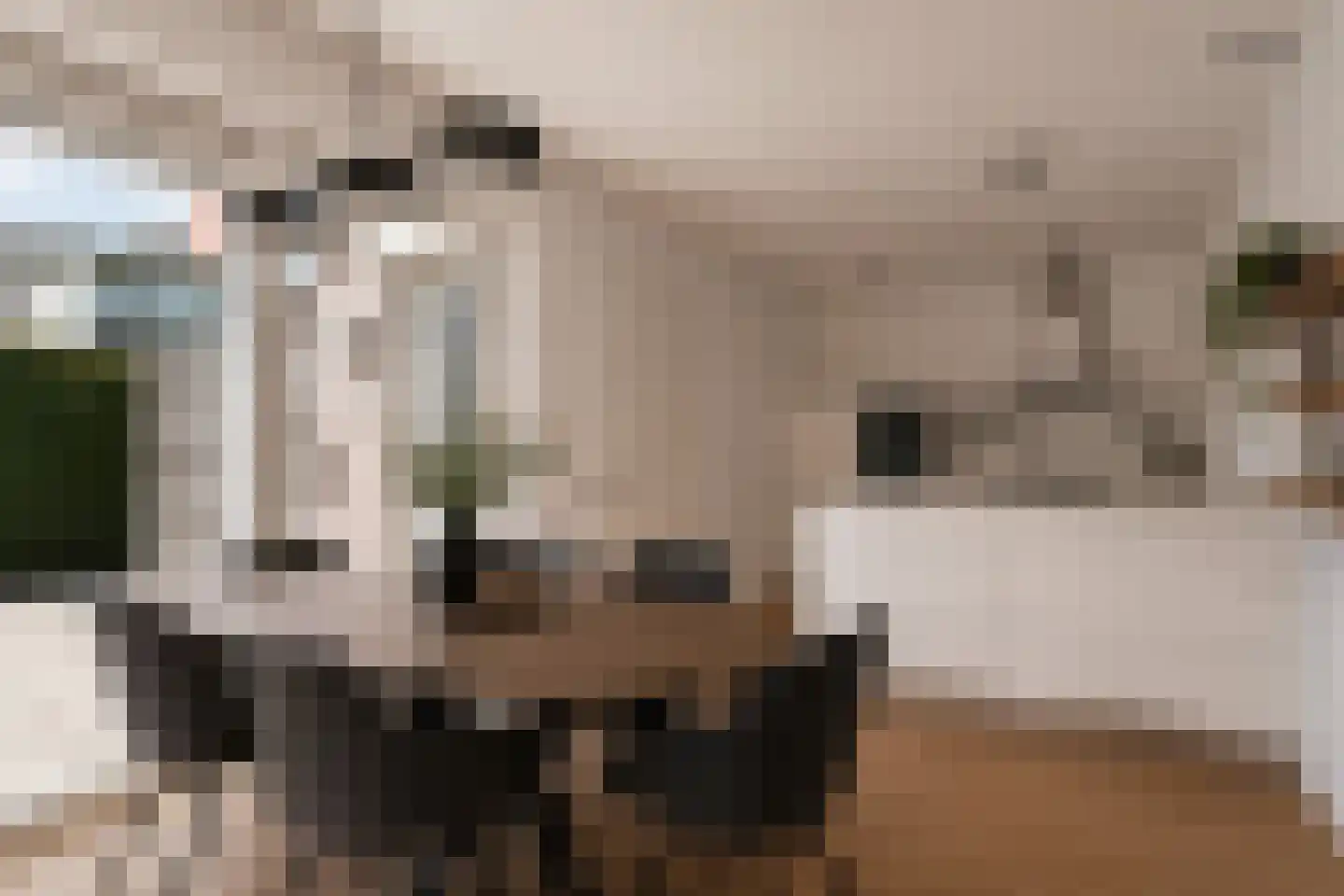 Bartelsweg 81 Apeldoorn thumbnail 13