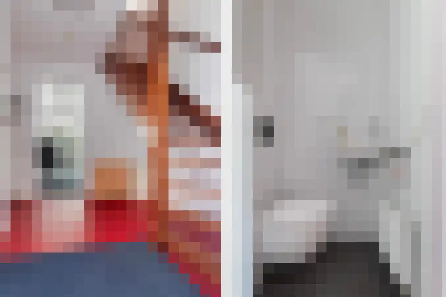 Bartelsweg 81 Apeldoorn thumbnail 16