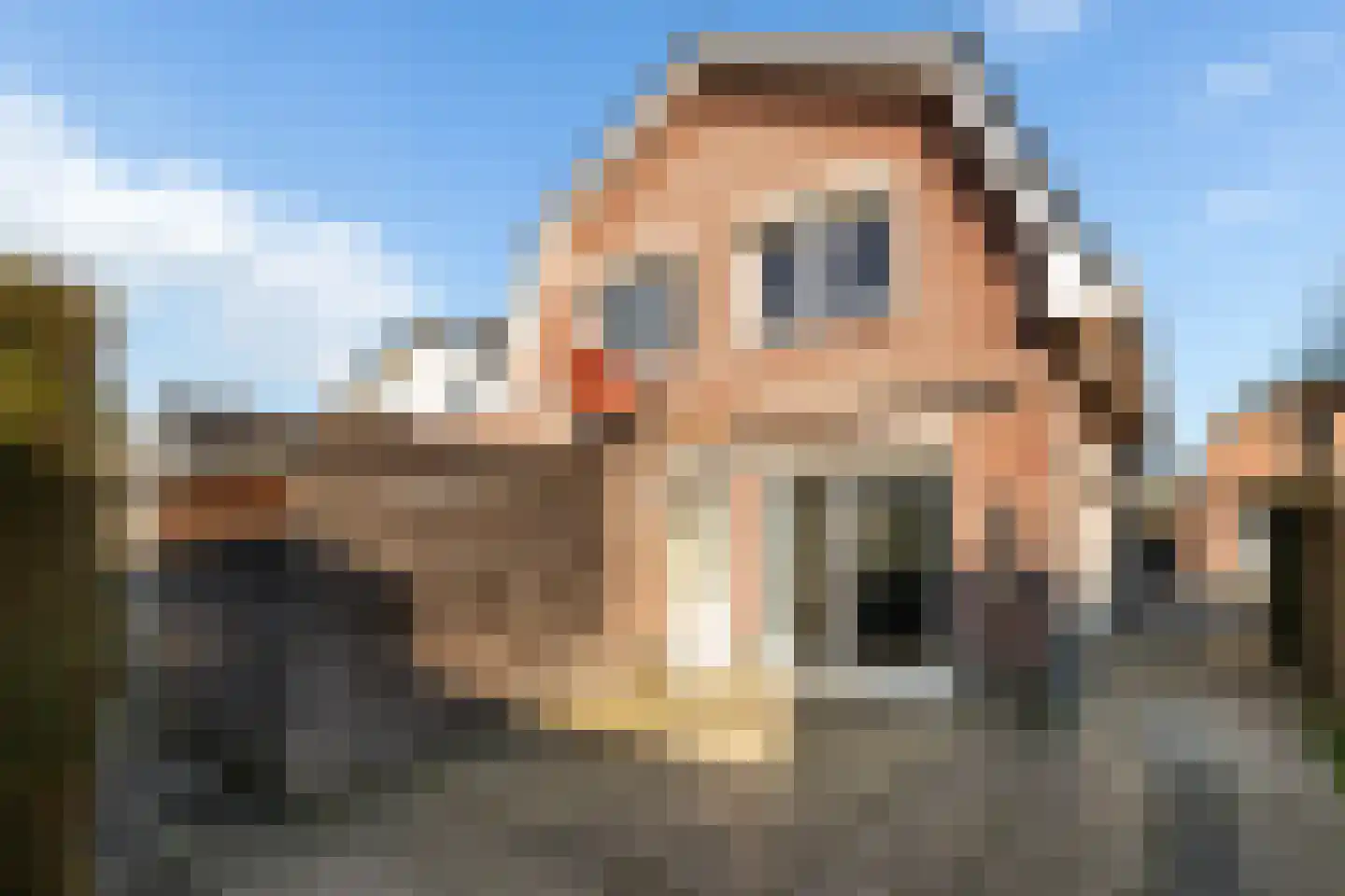 Bartelsweg 81 Apeldoorn thumbnail 23