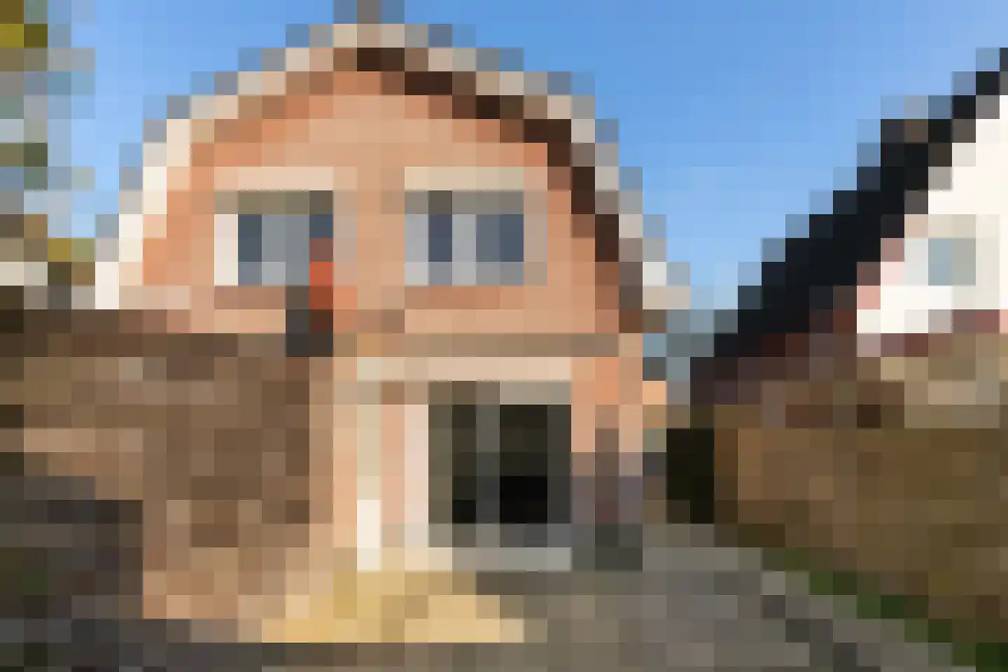 Bartelsweg 81 Apeldoorn thumbnail 24