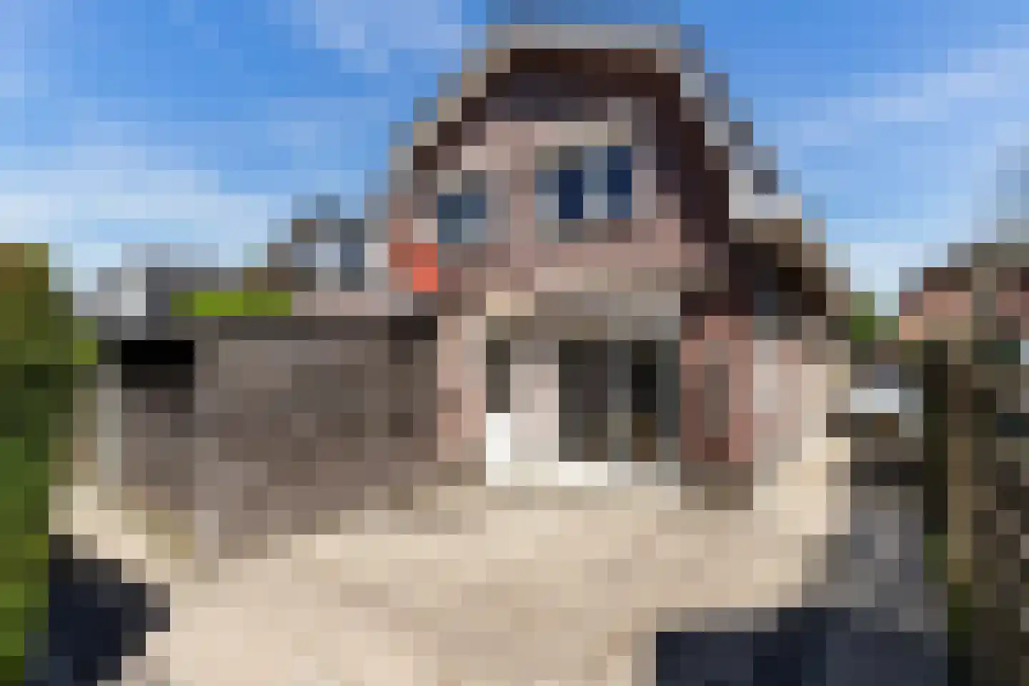 Bartelsweg 81 Apeldoorn thumbnail 26
