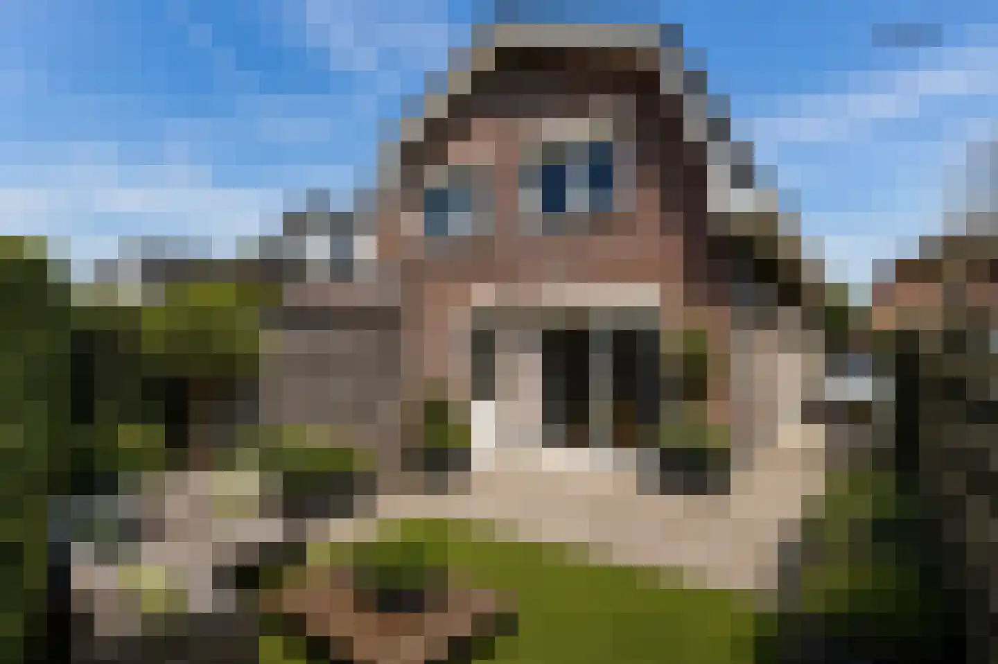 Bartelsweg 81 Apeldoorn thumbnail 27