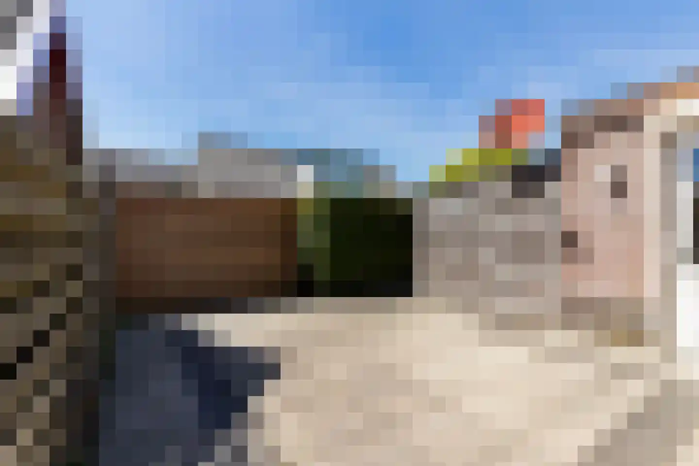 Bartelsweg 81 Apeldoorn thumbnail 28