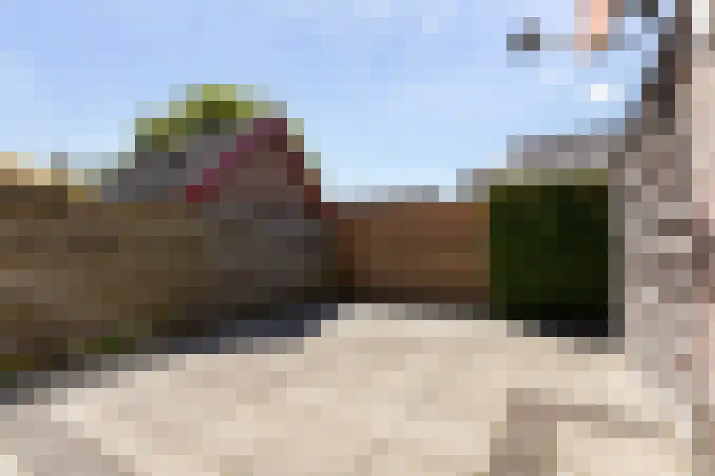 Bartelsweg 81 Apeldoorn thumbnail 30