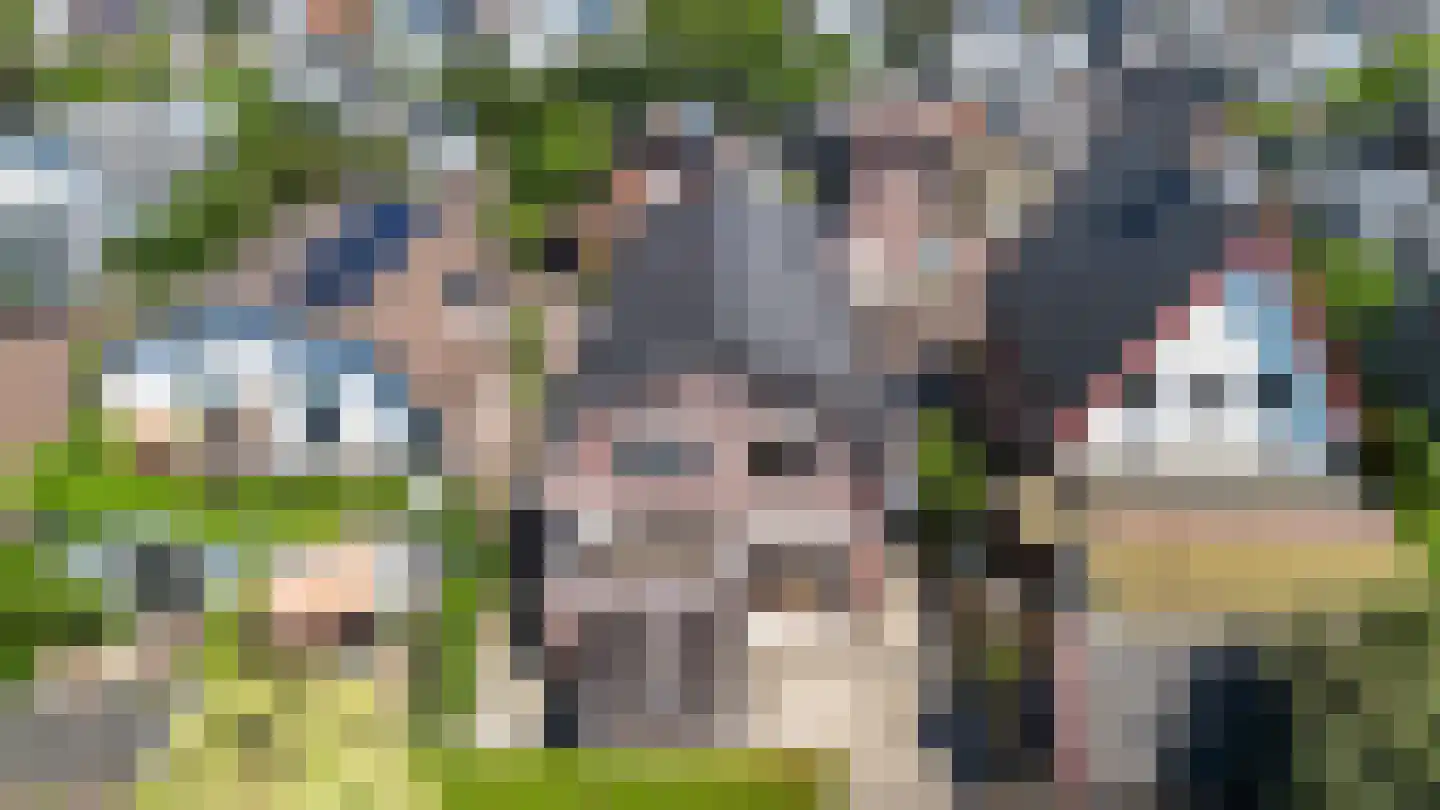 Bartelsweg 81 Apeldoorn thumbnail 31