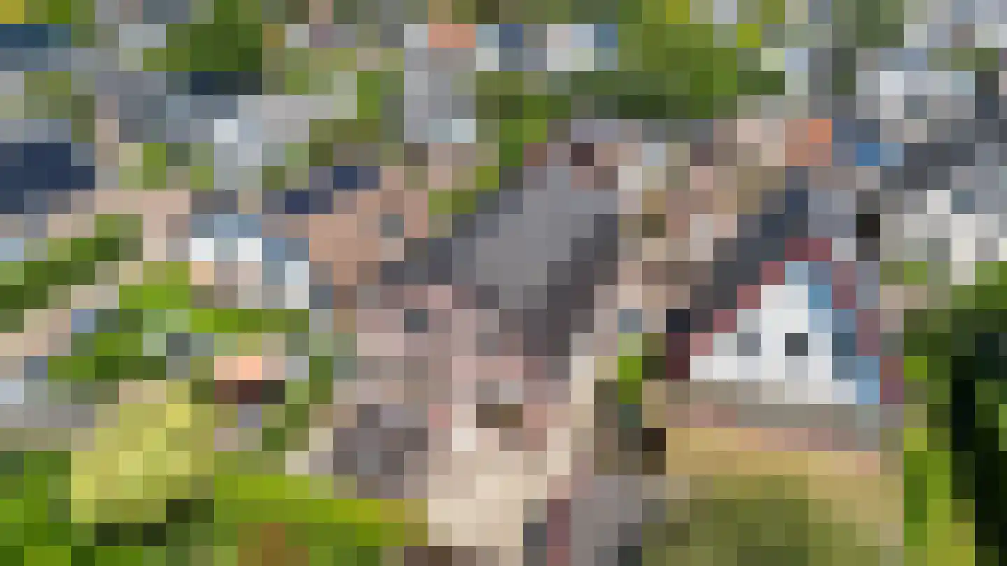 Bartelsweg 81 Apeldoorn thumbnail 32