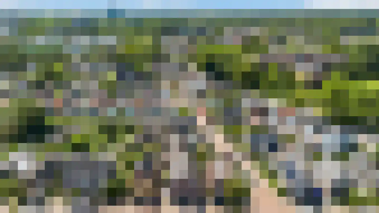 Bartelsweg 81 Apeldoorn thumbnail 33