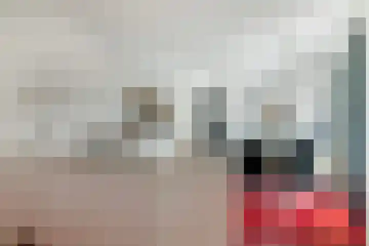 Bartelsweg 81 Apeldoorn thumbnail 9