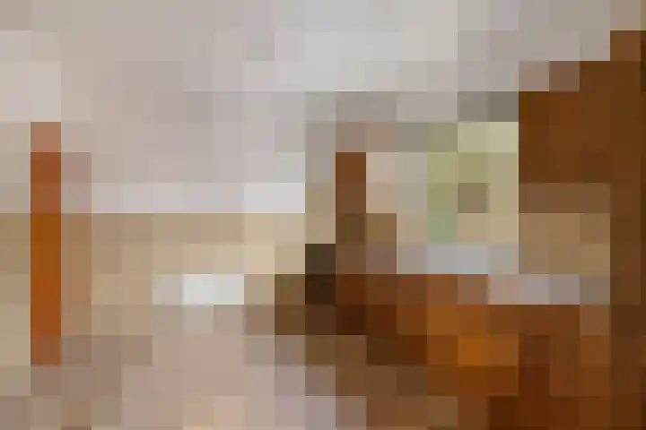 Bartelsweg 93 Apeldoorn thumbnail 12