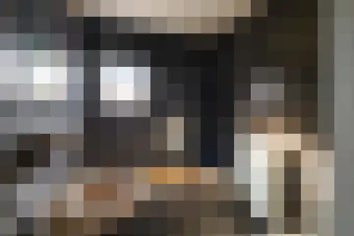 Bartelsweg 93 Apeldoorn thumbnail 15