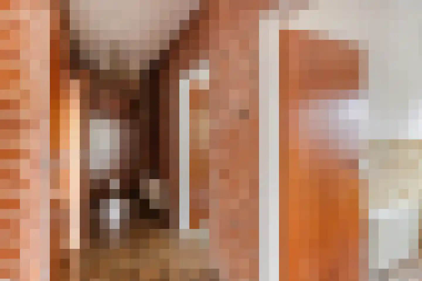 Bartelsweg 93 Apeldoorn thumbnail 17