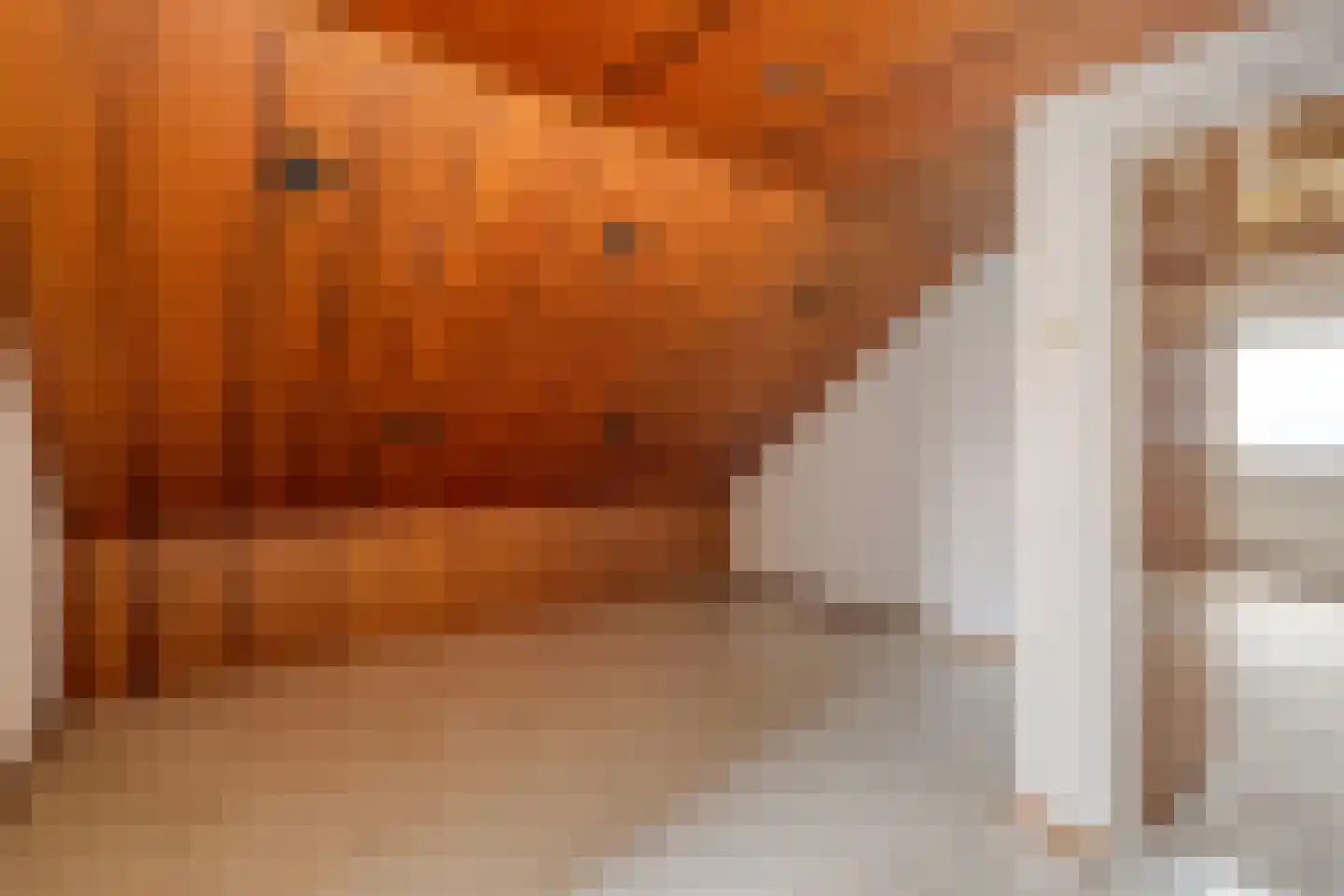 Bartelsweg 93 Apeldoorn thumbnail 20