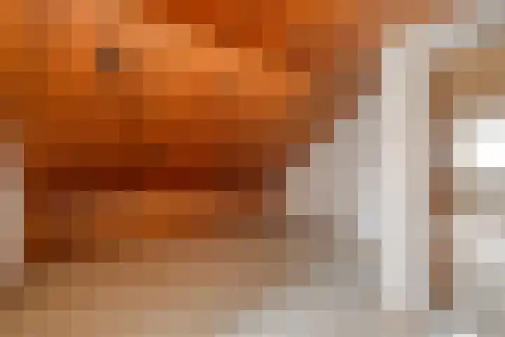 Bartelsweg 93 Apeldoorn thumbnail 20