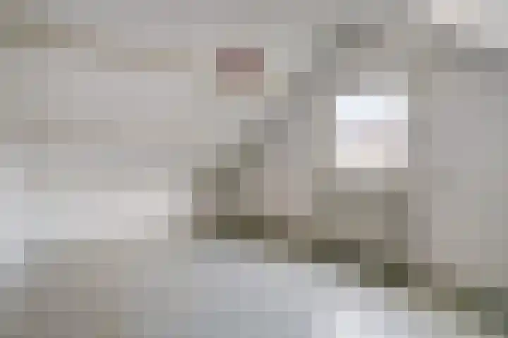 Bartelsweg 93 Apeldoorn thumbnail 21