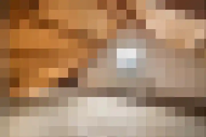 Bartelsweg 93 Apeldoorn thumbnail 23