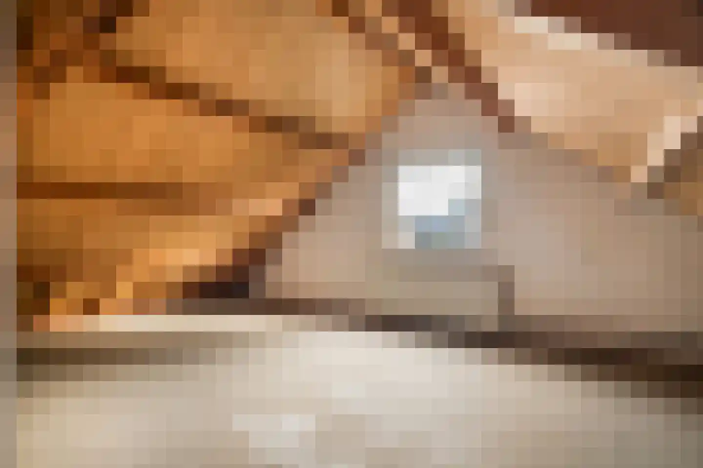 Bartelsweg 93 Apeldoorn thumbnail 23