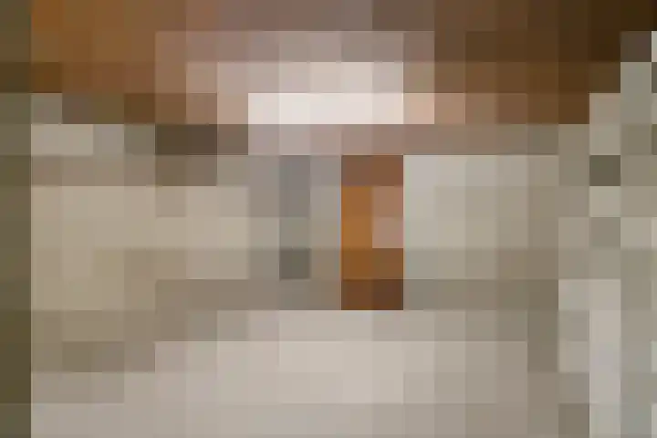 Bartelsweg 93 Apeldoorn thumbnail 28