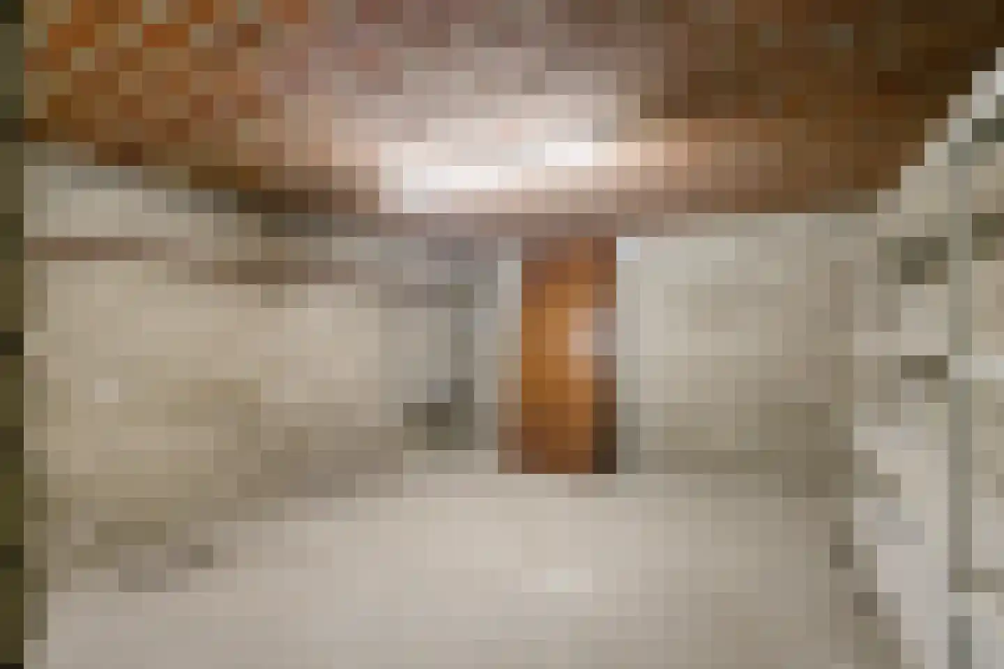 Bartelsweg 93 Apeldoorn thumbnail 28