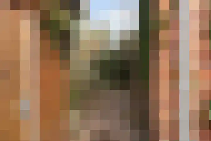 Bartelsweg 93 Apeldoorn thumbnail 29
