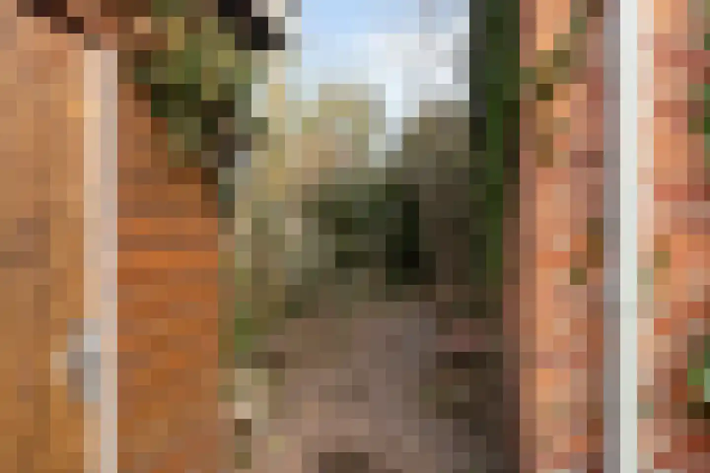 Bartelsweg 93 Apeldoorn thumbnail 29