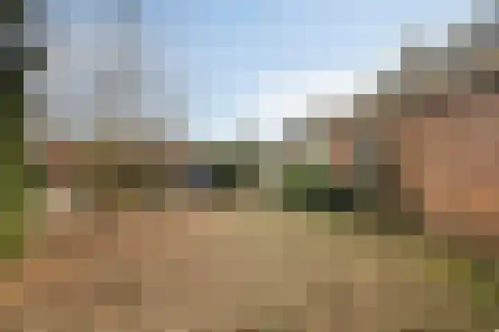 Bartelsweg 93 Apeldoorn thumbnail 30