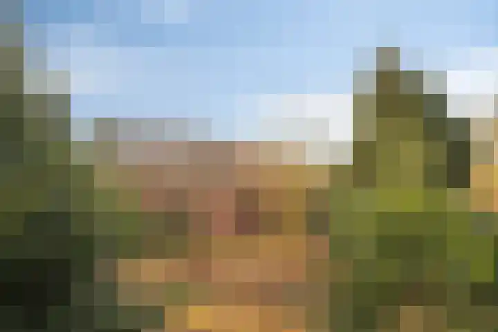 Bartelsweg 93 Apeldoorn thumbnail 31