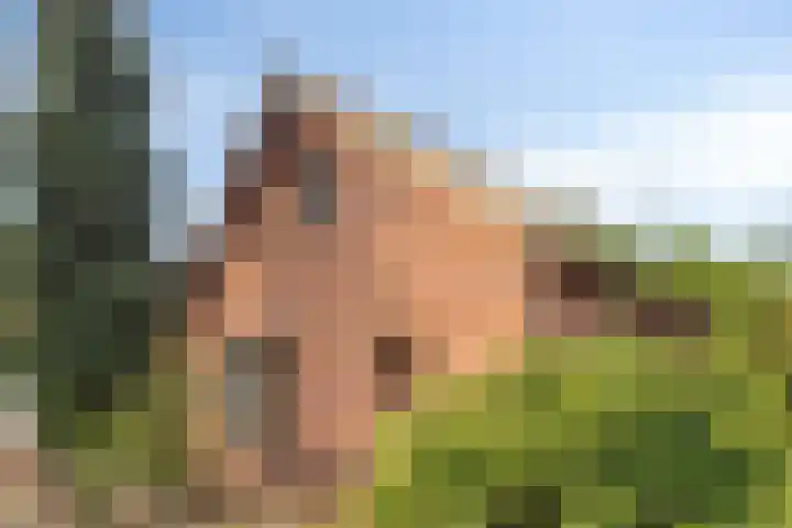 Bartelsweg 93 Apeldoorn thumbnail 4