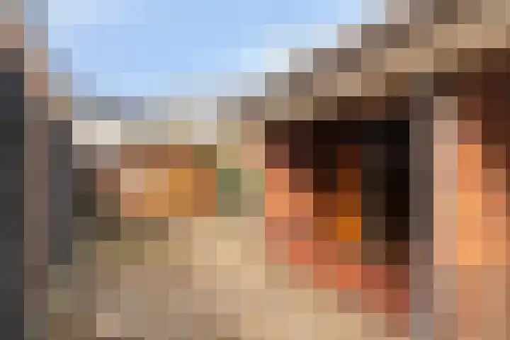 Bartelsweg 93 Apeldoorn thumbnail 5