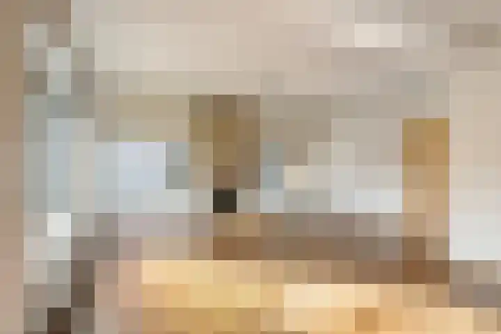 Bartelsweg 93 Apeldoorn thumbnail 8