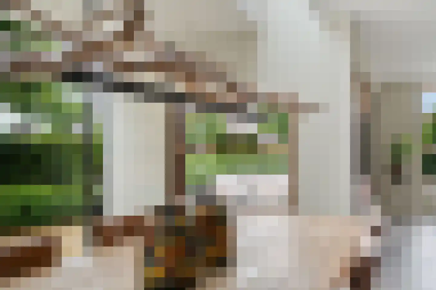 Bartemerwei 11 Surhuizum thumbnail 21