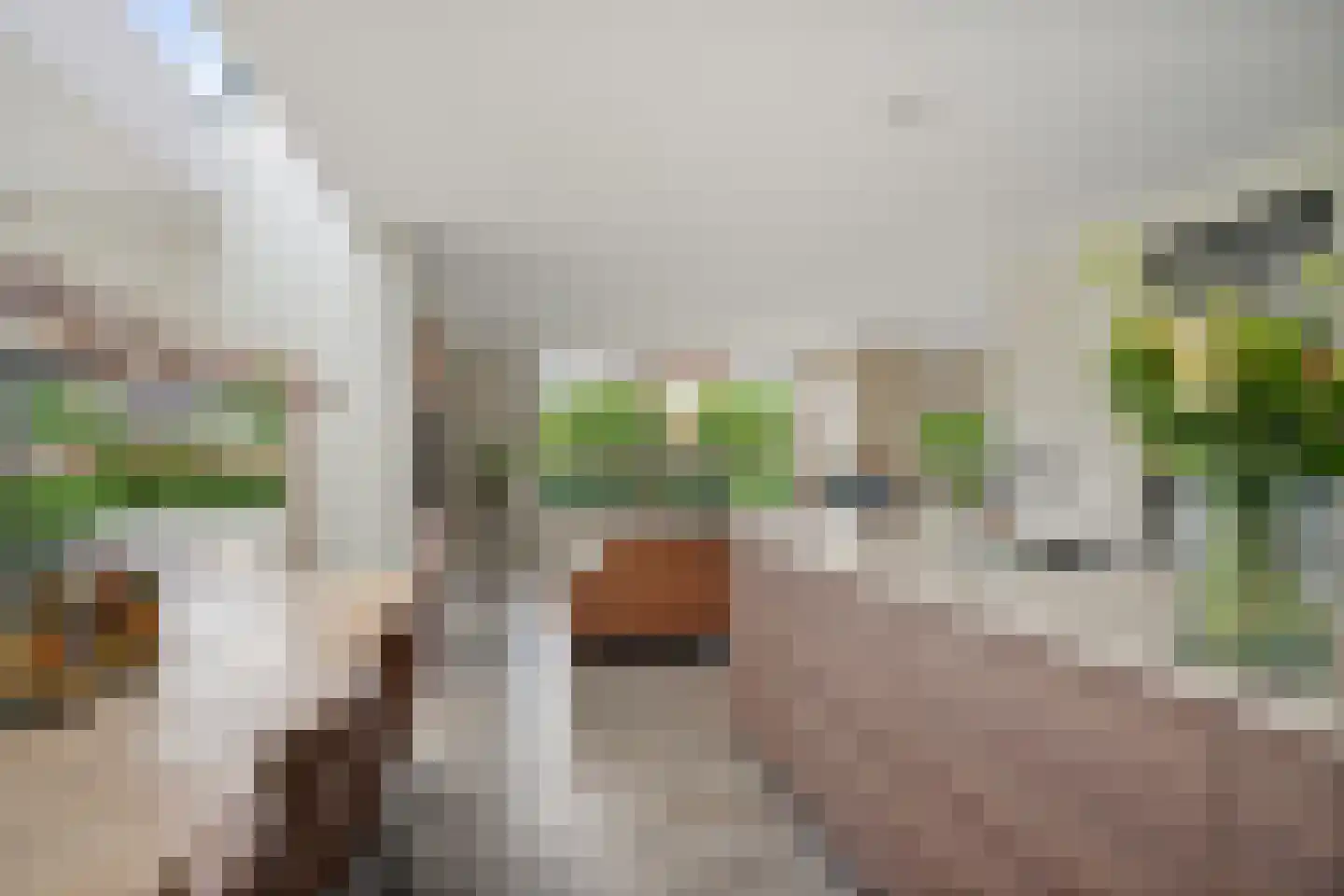 Bartemerwei 11 Surhuizum thumbnail 22
