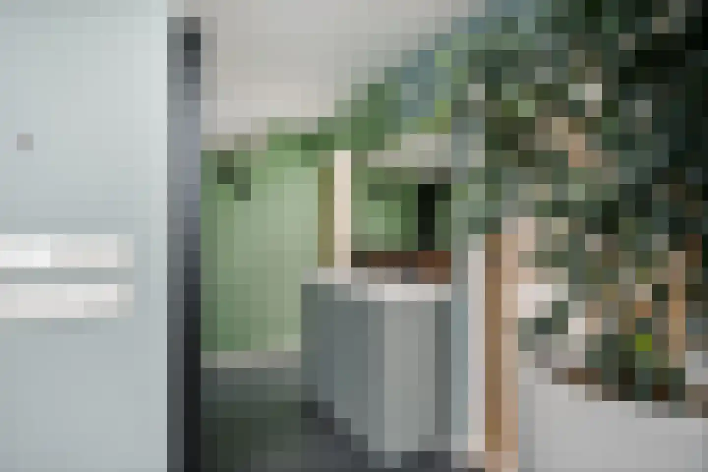 Bartemerwei 11 Surhuizum thumbnail 28
