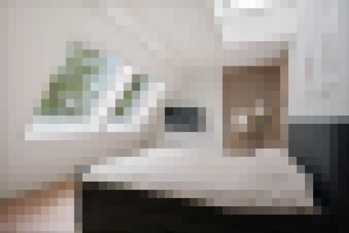 Bartemerwei 11 Surhuizum thumbnail 31