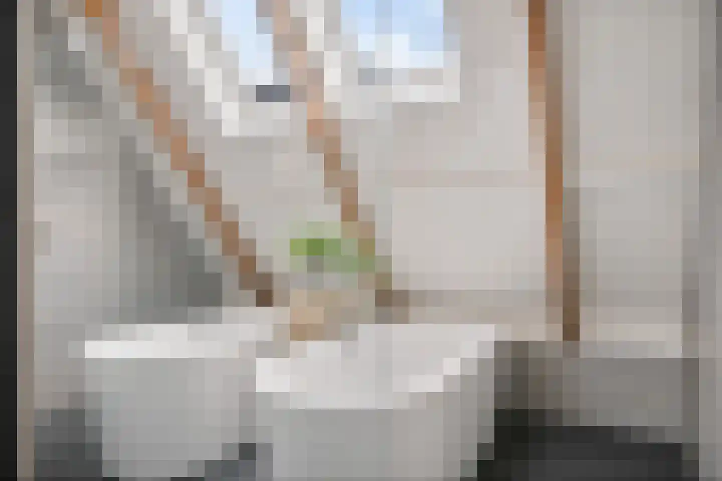 Bartemerwei 11 Surhuizum thumbnail 33