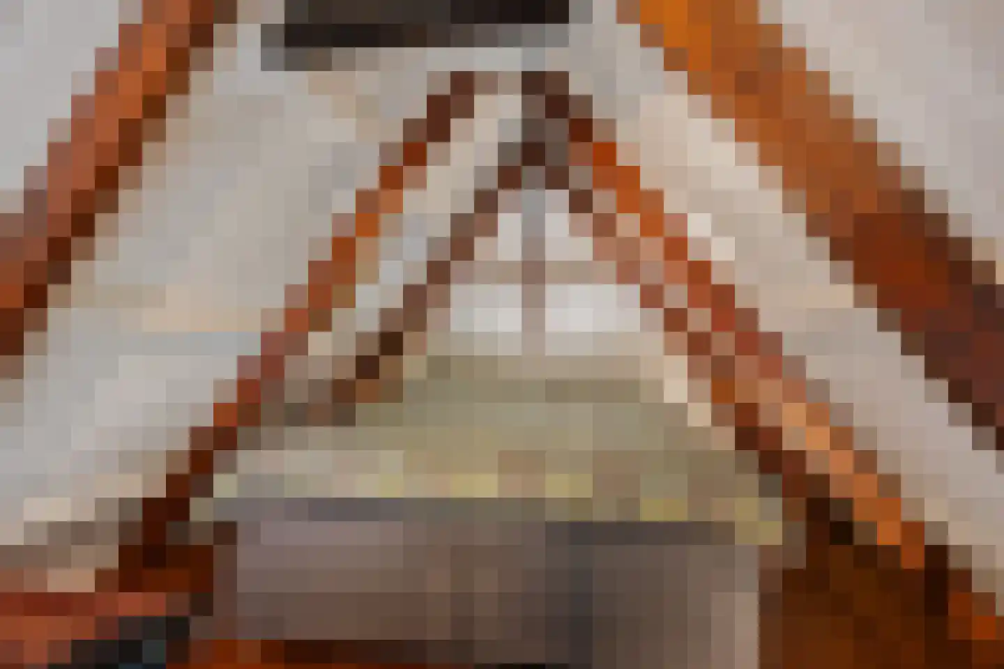 Bartemerwei 11 Surhuizum thumbnail 39