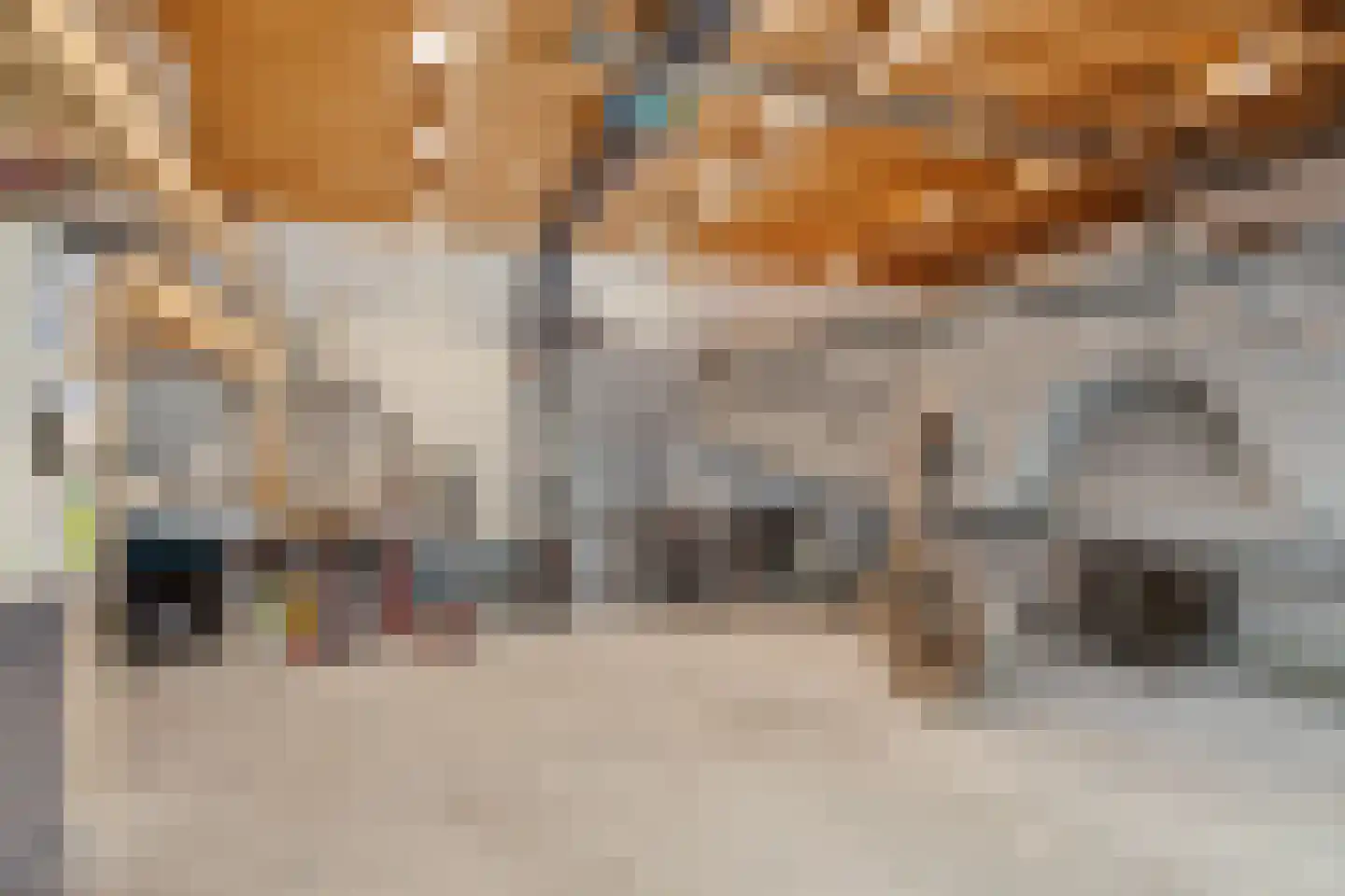 Bartemerwei 11 Surhuizum thumbnail 44