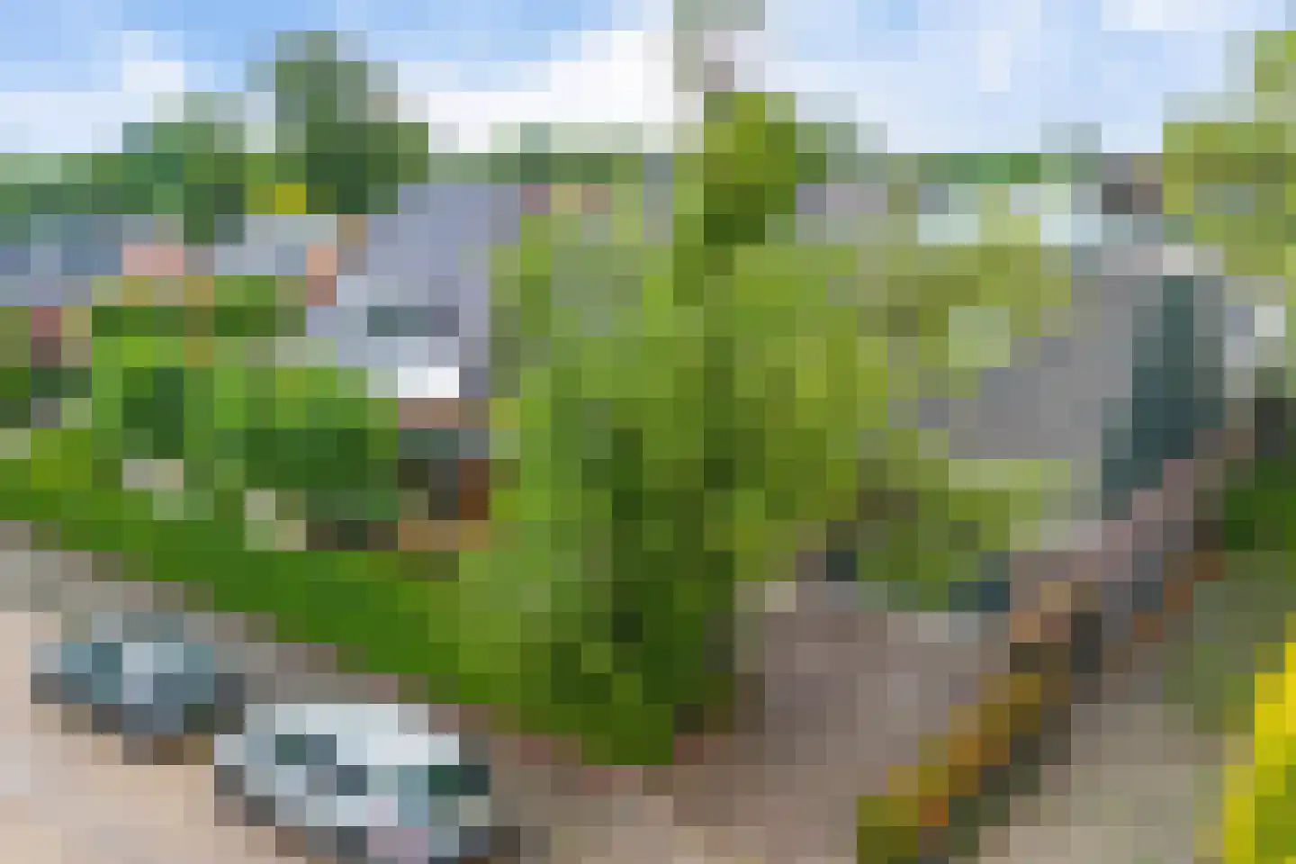 Bartemerwei 11 Surhuizum thumbnail 53