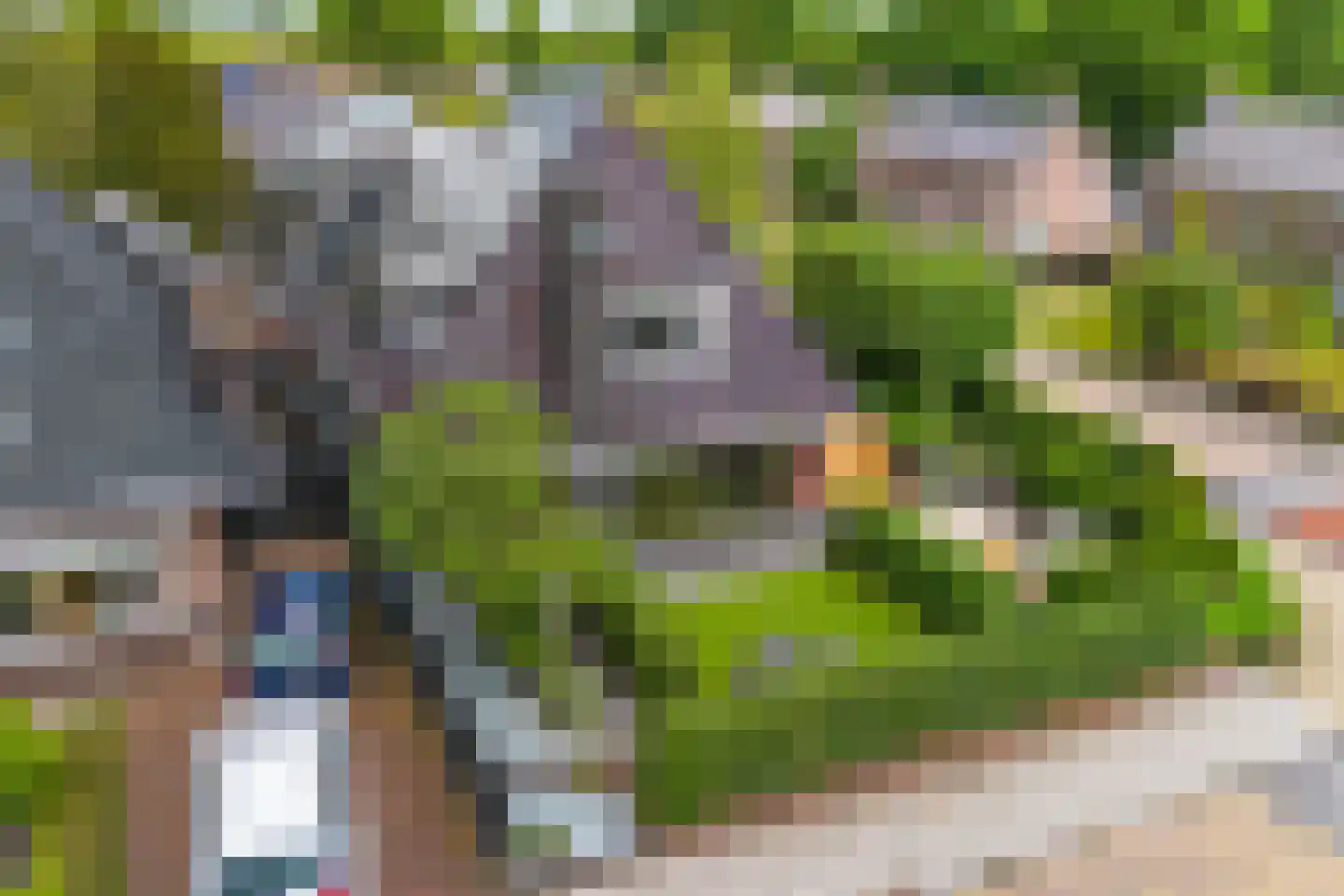 Bartemerwei 11 Surhuizum thumbnail 55